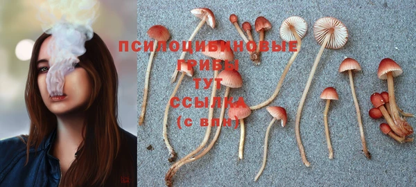 меф Арсеньев