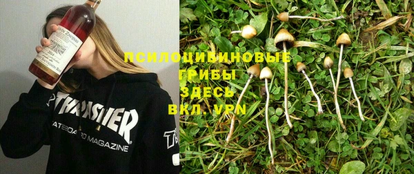 мяу мяу мука Алексин