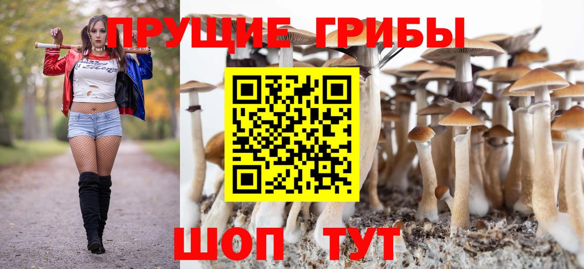 Псилоцибиновые грибы мухоморы  Вход с VPN  Коломна 